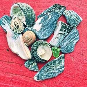 Meet your Posher, Melanie